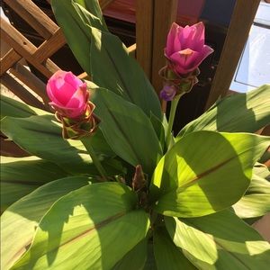 All reasonable offers considered👍🏻